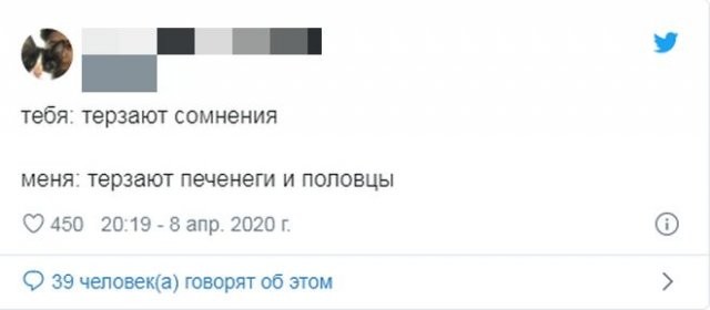 Реакция россиян на речь Путина про печенегов и половцев (17 фото)