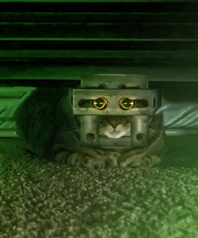 Кот посмотрел в камеру через отверстия и стал героем мемов (15 фото)