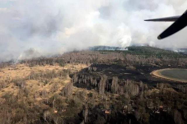 В Чернобыле сильный пожар: пламя уже дошло до Припяти (3 фото)