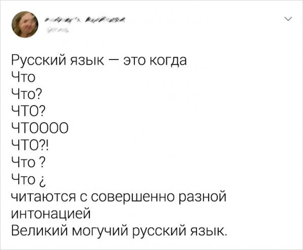 Подборка забавных твитов про русский язык (20 фото)