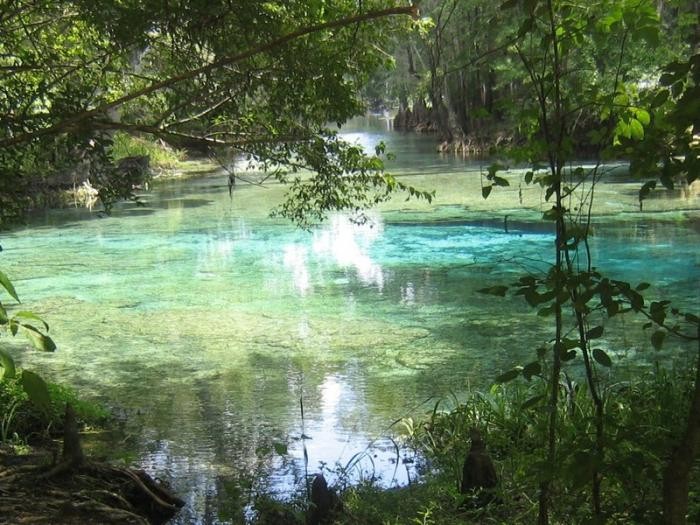 Самые красивые природные бассейны мира (22 фото)