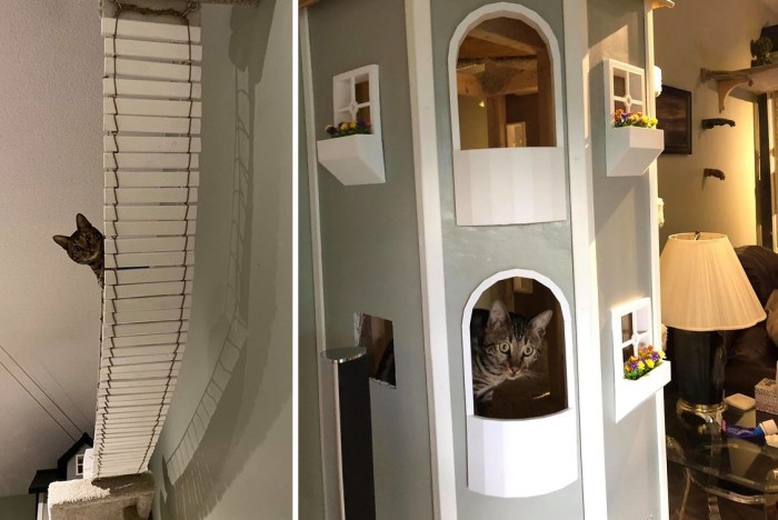 Американец построил в собственном доме целый город для кошек (8 фото)