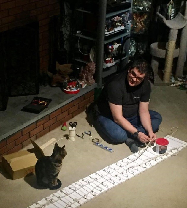Американец построил в собственном доме целый город для кошек (8 фото)