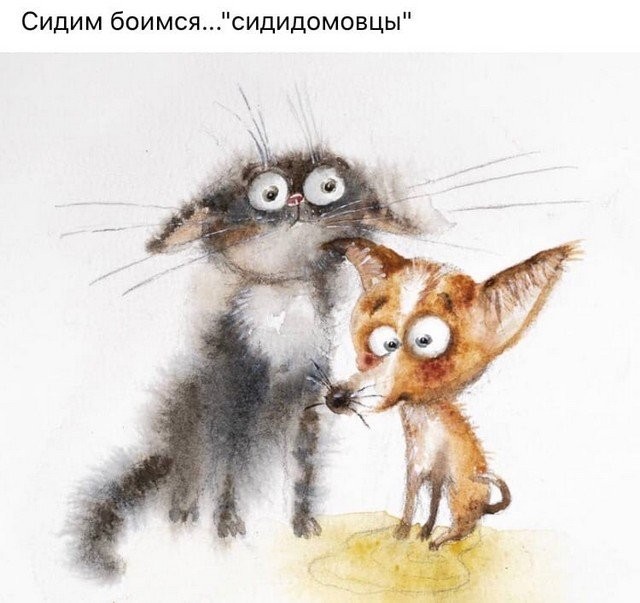 Карантин, летучие мыши и майские праздники: шутят в Сети (16 фото)