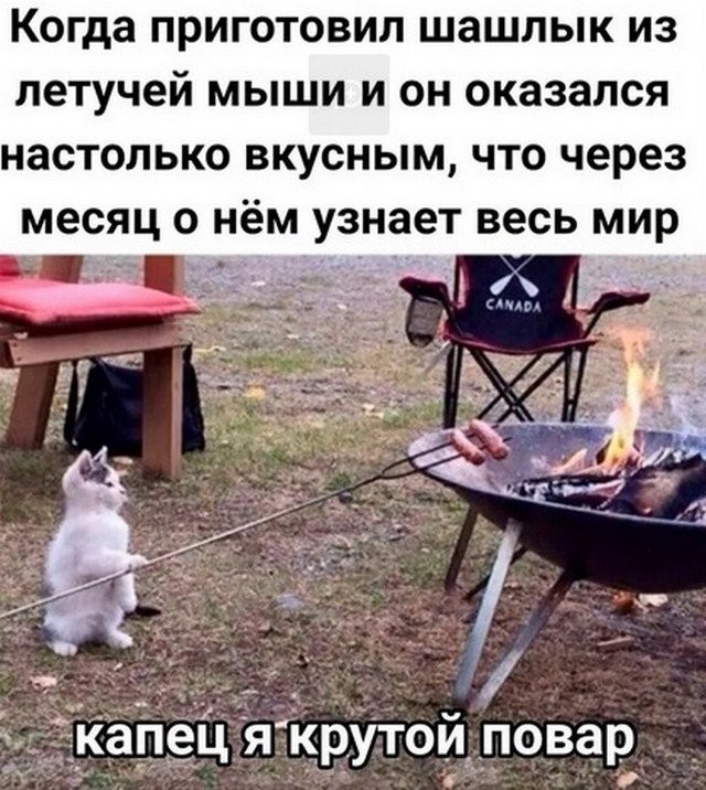 Карантин, летучие мыши и майские праздники: шутят в Сети (16 фото)