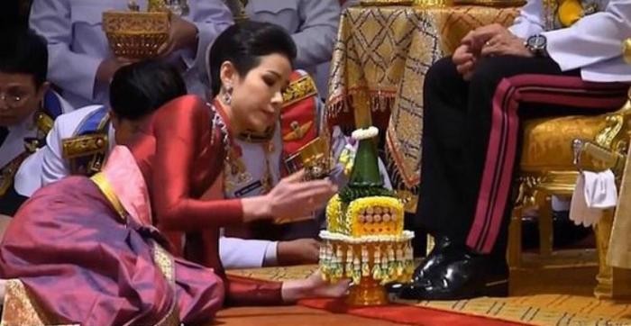 Король Таиланда проводит карантин в отеле вместе с гаремом (12 фото)