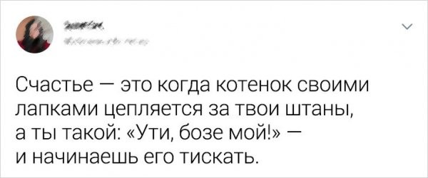 Подборка забавных твитов на тему "что такое женское счастье" (12 фото)