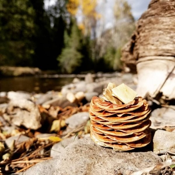 Несъедобные вещи, которые лучше не показывать голодающим (15 фото)