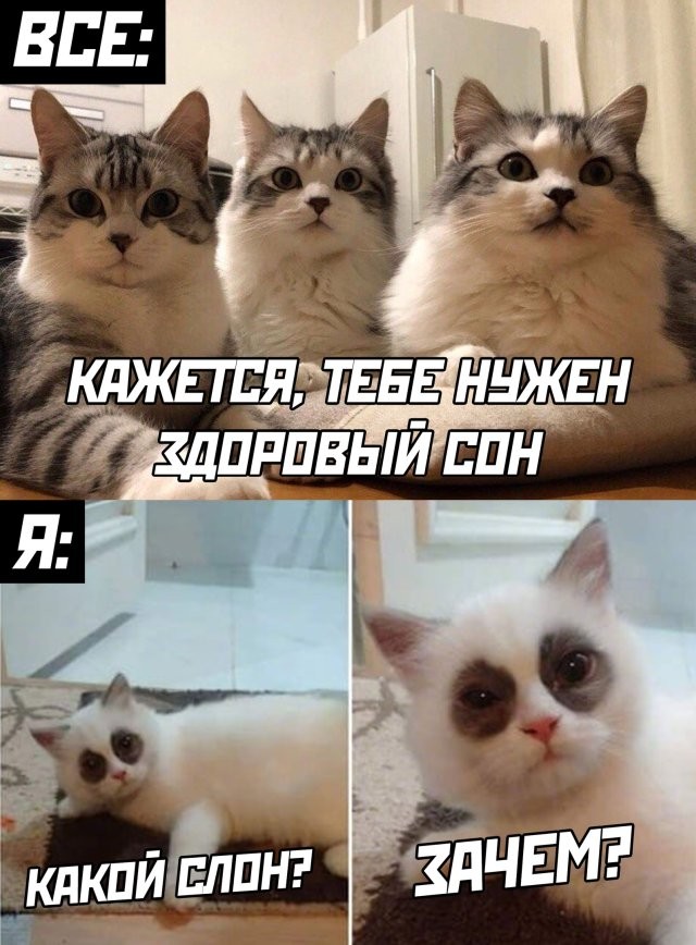 Подборка прикольных фото (65 фото) 25.05.2020