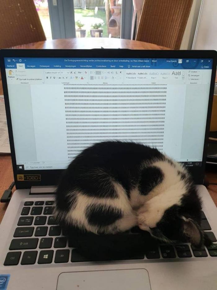 Подборка прикольных фото (65 фото) 25.05.2020