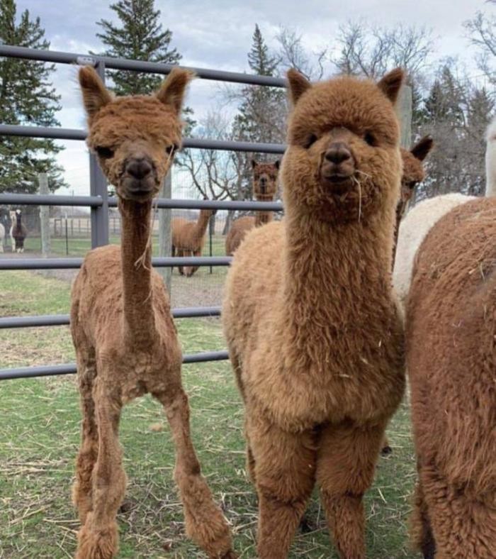 Подборка прикольных фото (65 фото) 25.05.2020