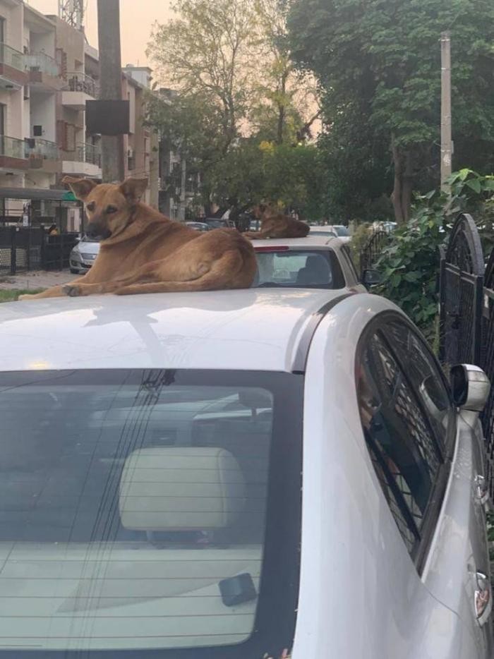 Подборка прикольных фото (65 фото) 25.05.2020