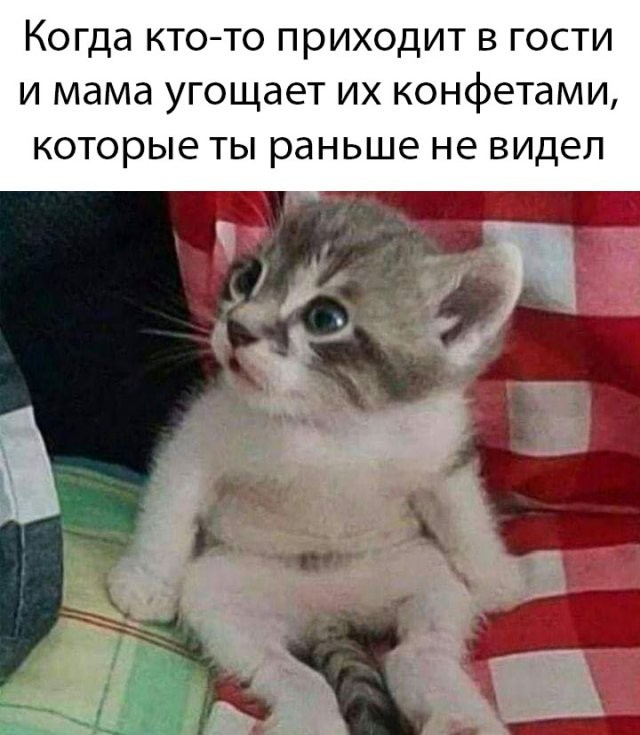 Подборка прикольных фото (65 фото) 25.05.2020