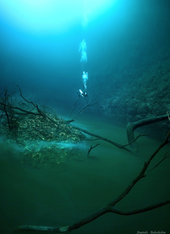 Таинственная подводная река Анхелита в Мексике (7 фото)