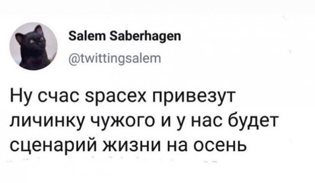 Чипирование, Симпсоны и коронавирус: о чем шутят в Сети (14 фото)