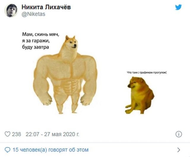 Реакция россиян на введение графика прогулок (15 фото)