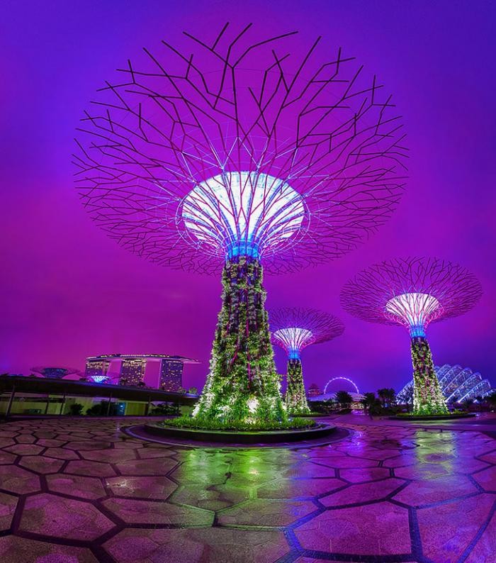 Футуристические сады в Сингапуре (25 фото)