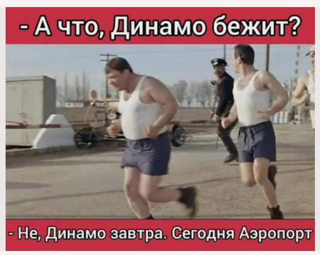 Москвичи шутят про прогулки по графику (15 фото)