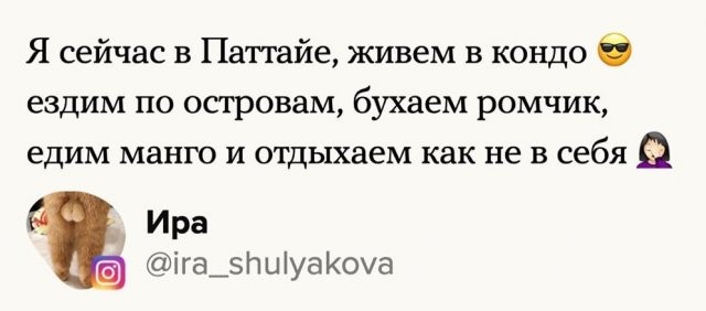 Пользователи о том, что они делали, "если бы не все это" (19 фото)