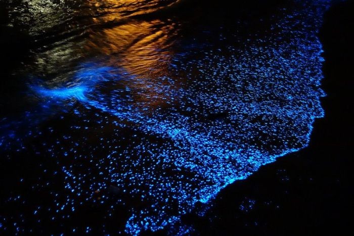 Удивительное световое шоу, созданное самой природой (6 фото)