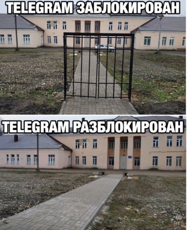 Мемы и приколы про отмену блокировки Telegram (15 фото)