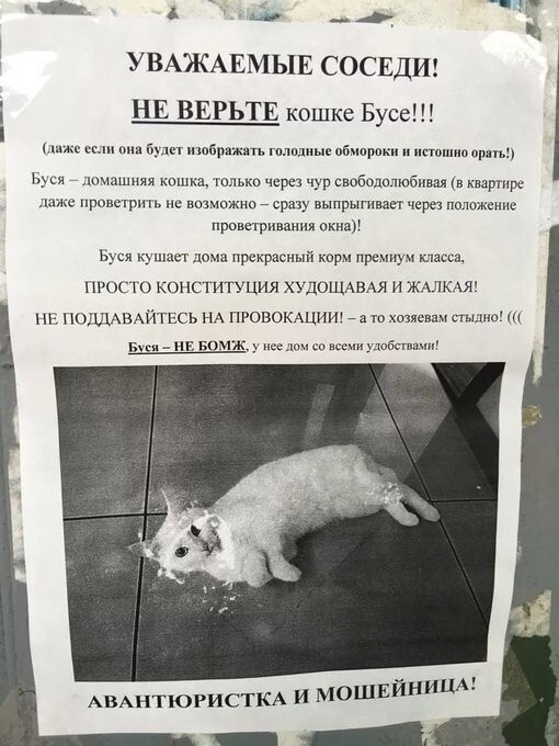 Смешные объявления на которые можно наткнуться в России (15 фото)