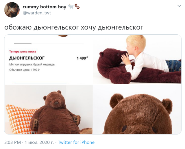 Новый хит сезона: Медведь Дьюнгельског страдающий депрессией (10 фото)