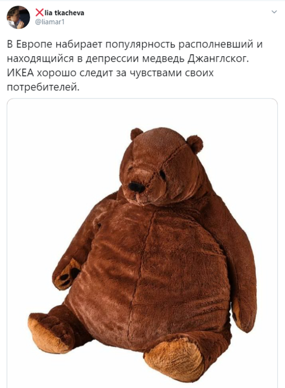 Новый хит сезона: Медведь Дьюнгельског страдающий депрессией (10 фото)
