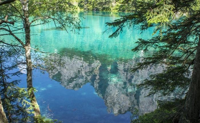 Озеро с лесом под водой (15 фото)