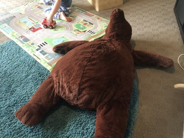 Медведь - игрушка, которая пришла на смену акуле Блохэй (11 фото)