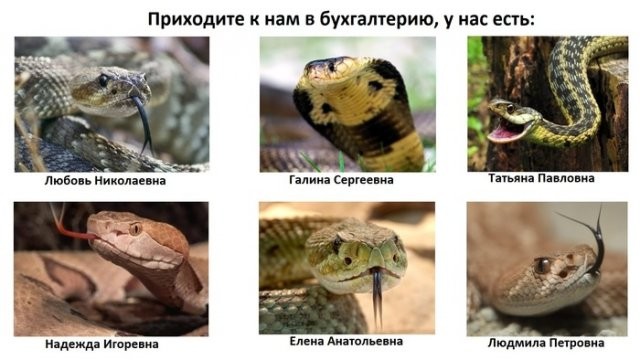 Пользователи продолжают делиться вещами из разных сфер (14 фото)