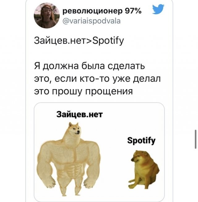 Пользователи отреагировали на появление Spotify в России (13 фото)