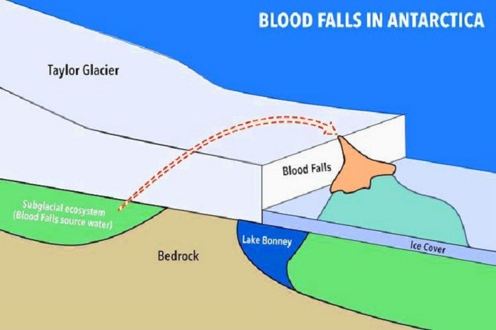 Загадка «кровавого» водопада в Антарктиде (7 фото)