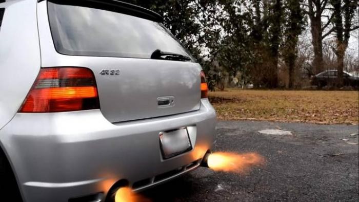 Подборка прикольных фото (69 фото) 25.08.2020