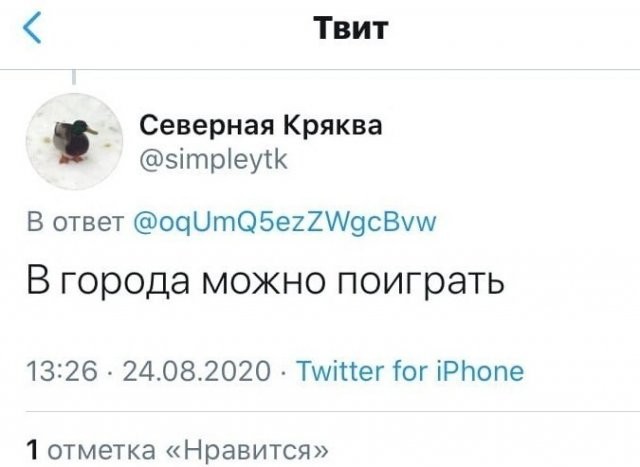 Девушка решила узнать у пользователей Twitter, что делать (11 фото)