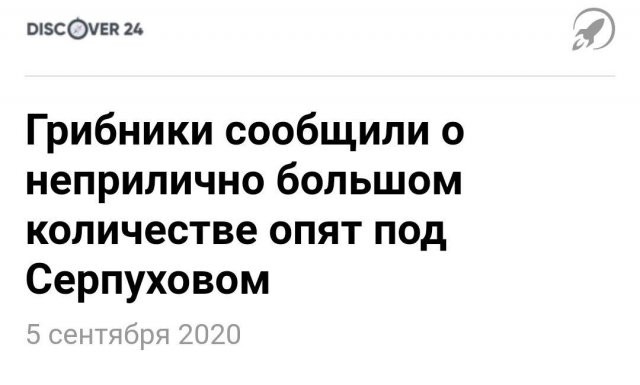 Забавные и странные заголовки из российских СМИ (9 фото)