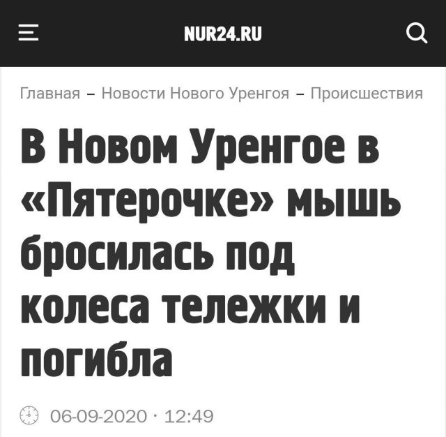 Странные и забавные новости из СМИ (11 фото)