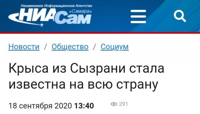 Когда читаешь только заголовки в российских СМИ (12 фото)