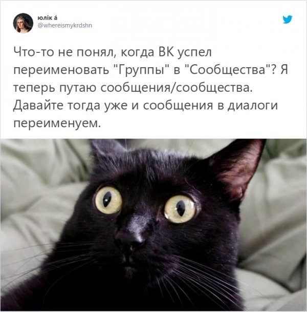 Пользователи соцсетей посмеялись над очередным обновлением "ВКонтакте" (15 фото)