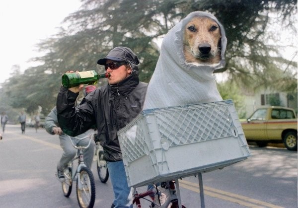 Фотография с собакой в куртке и пьющими рыбаками, вдохновила пользователей на новый фотошоп-баттл (13 фото)
