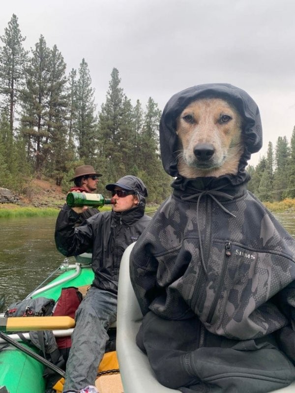 Фотография с собакой в куртке и пьющими рыбаками, вдохновила пользователей на новый фотошоп-баттл (13 фото)