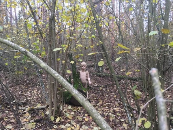 Пользователи показали, какие странные и немного жуткие вещи им встречались в лесу (14 фото)
