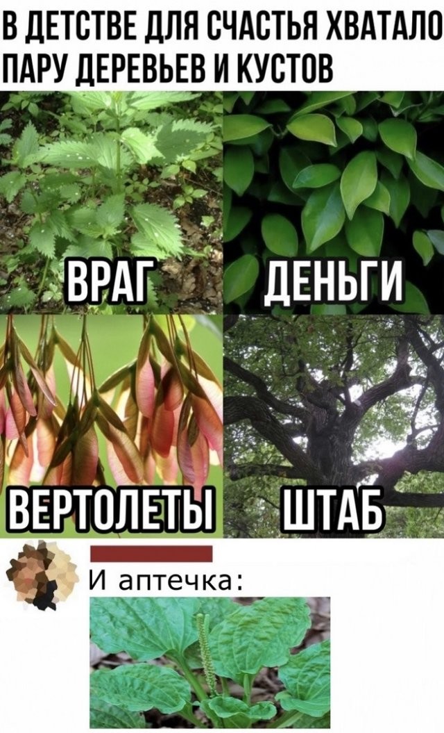 Немного черного юмора (15 фото)