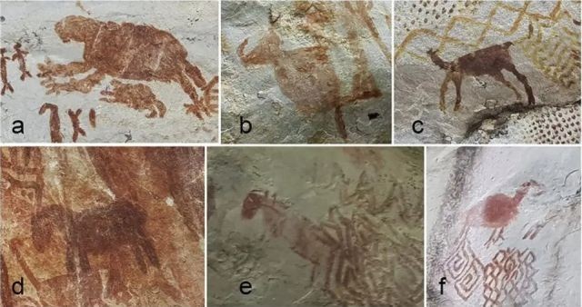 "Сикстинская капелла древних": в Колумбии нашли 13-километровую стену из рисунков, которым не менее 12500 лет (5 фото)