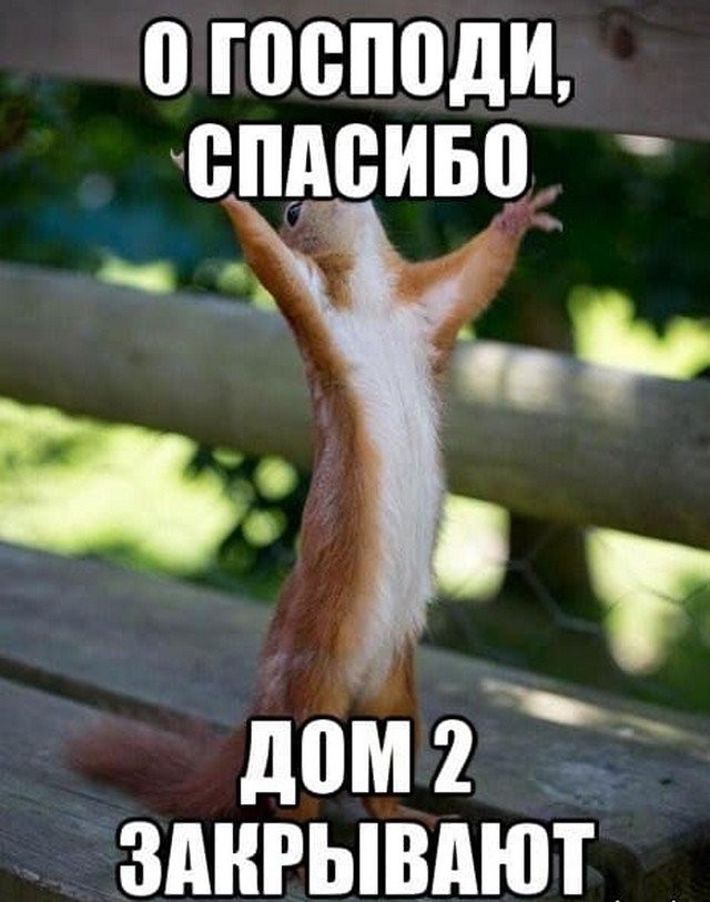 Шутки и мемы про закрытие "ДОМ-2" (19 фото)