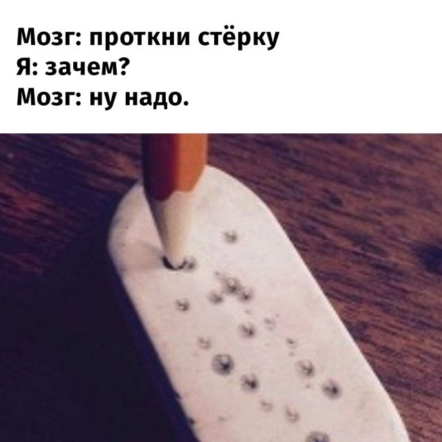 Бессмысленные, но интересные занятия, которые нам подсказывает сделать мозг (15 фото)