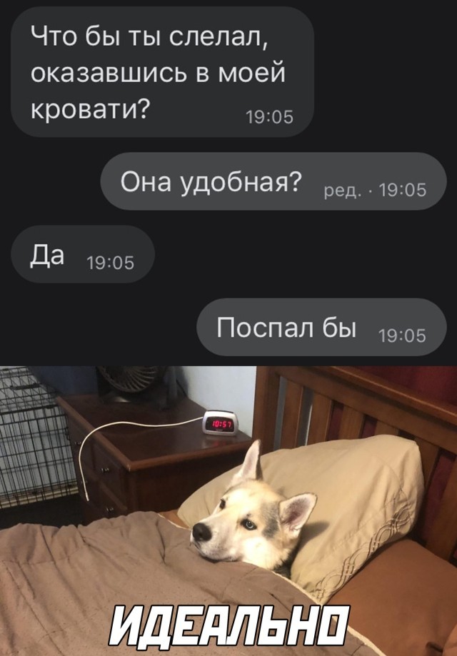 Подборка прикольных фото (30 фото) 04.01.2021