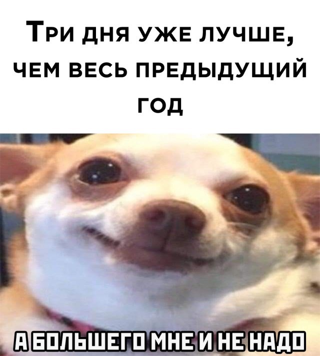 Подборка прикольных фото (30 фото) 04.01.2021