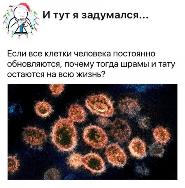 Занимательные философские мысли, над которыми ломают голову пользователи Сети (15 фото)
