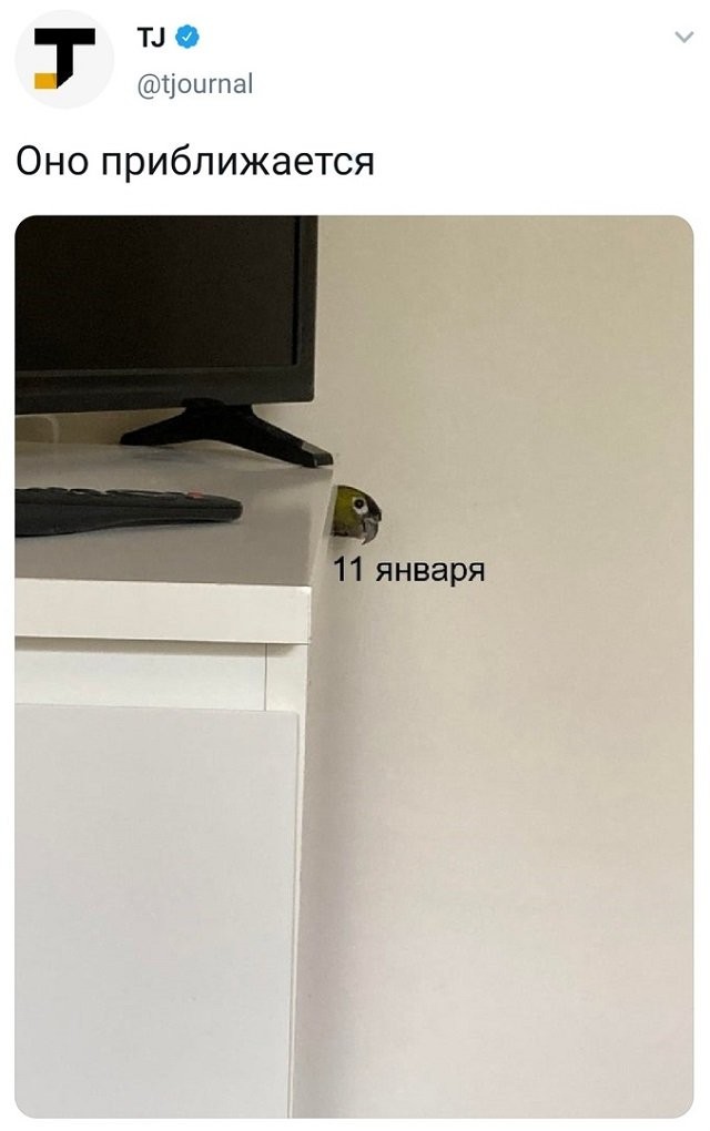 Подборка забавных твитов обо всем (14 фото)